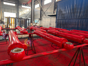 खुदाई के लिए भारी शुल्क बूम हाइड्रोलिक सिलेंडर 25 टन क्षमता 2000 मिमी स्ट्रोक हार्ड क्रोम डबल अभिनय - Product Image 2