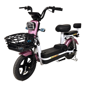 Vélo électrique <span class=keywords><strong>de</strong></span> Shandong pour adultes, 3 vitesses, <span class=keywords><strong>frein</strong></span> à <span class=keywords><strong>tambour</strong></span>, batterie au plomb-acide avec pédales, autonomie <span class=keywords><strong>de</strong></span> 50 km - Product Image 3