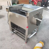 Machine à laver et à éplucher à usage industriel, machine à éplucher à rouleaux brosse haute efficacité pour betterave, carotte et patate douce