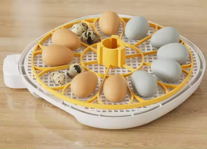 घरेलू उपयोग के लिए नई पूरी तरह से स्वचालित अंडे इनक्यूबेटर और हैच मशीन - Product Image 4