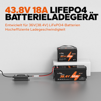 Chargeur de batterie professionnel automatique 36V(38.4V) 18A LiFePO4 Terminal léger 38.4V 18A M8 Terminal 36V 18A M8
