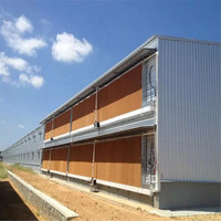 Poules pondeuses préfabriquées Fermes d'élevage de poulets Structure en acier Cage pour poules pondeuses Ferme avicole Cage pour poules pondeuses