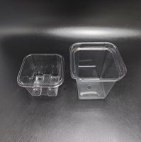 Boîte d'emballage à clapet en PET recyclable pour plantes récipient à clapet en plastique pour graines de fleurs
