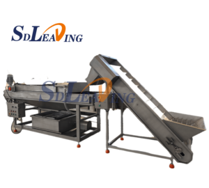 Ligne de nettoyage et de séchage de jujubes Medjool Barhee, machine de lavage et de tri de dattes de palmier - Product Image 4