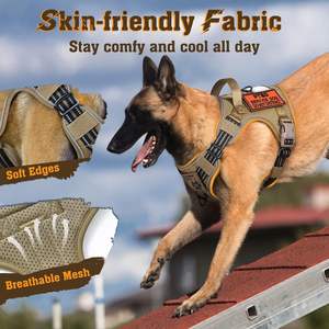 Free sample China-sourced, premium, personalized logo dog vests that are comfortable for dogs in the great outdoors - Product Image 5