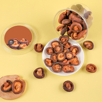 Deliciosos Bocadillos Salados de Champiñones Shiitake Fritos con Textura Firme, Empacados en Bolsa, Delicioso Snack de Frutas y Verduras