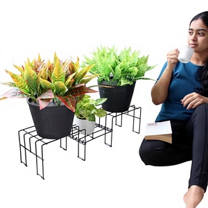 Modern Metal Flower <b>Stands</b> Powder Coated <b>Indoor</b> <b>Plant</b> Display Rack Minimalist Design for Home Use - Product Image 6