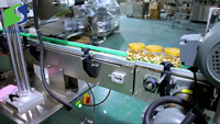 Chaîne de convoyeur de taille industrielle 1 mètre/1,5 mètres/2 mètres Longueur personnalisable Convoyeur en nylon POM Machine pour bouteilles et canettes