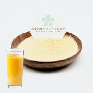 100% poudre de jus d'orange organique pure soluble dans l'eau orange sanguine