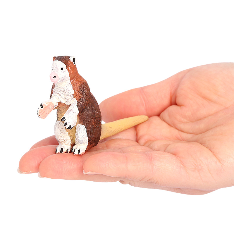 2201 Canguro arborícola de Matschie