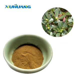 バコパ・モニエラエキス粉末（バコパサイド10％、20％、50％含有）の製造業者 - Product Image 1