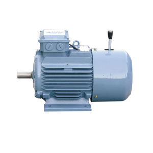 Motor de Inducción Trifásico Serie YE-Q de ABB, 0.75-315kW, IE3, 380/400/415/660V, IP55, IC411, S1, Hierro Fundido, 2/4/6/8/10/12 Polos - Product Image 6