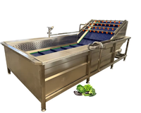 Automatische fruit- en groentebellenrolreinigingsmachine Verpakking Voedseloppervlaktereinigingsmachine 304 roestvrij staal