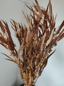 Hojas de Eucalipto y Sauce con Semillas Conservadas para Decoración de Interiores en el Hogar y la Oficina; Plantas Decorativas de Hoja de Mijo para Fiestas - Product Image 6