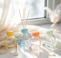 Bouteilles de diffuseur d'arômes en verre de luxe vides, personnalisables avec logo, 50 ml, 100 ml, colorées, pour la décoration de la maison