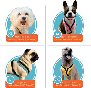 Gooby Comfort X Ein Hunde geschirr <span class=keywords><strong>Flamingo</strong></span> Pink Medium für kleine mittelgroße Hunde Atmungsaktives Netz Stoß dämpfend Easy Snap - Product Image 4