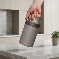 Thermos isotherme à double paroi en acier inoxydable pour aliments chauds avec couvercle facile à ouvrir et poignée