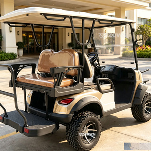 Véhicule de golf électrique tout-terrain 2 places, vente en gros usine, couleur personnalisée, longue autonomie, batterie lithium 48V, pour usage en club et parc - Product Image 1