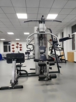 Système de poulies en acier pour salle de sport à usage commercial, équipement d'exercice multifonctionnel avec pile de poids de 75 kg
