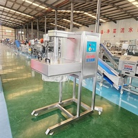Ligne de production de chips de banane et de plantain DY 100-500 kg/h en acier inoxydable SUS 304, à moteur, pour petites entreprises