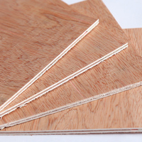 Panneau de bois en contreplaqué Bintangor durable de haute qualité, imperméable et collé, pour la construction de structures, maisons temporaires et plafonds.
