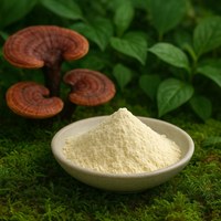 Sérum capillaire à base de vésicules de Ganoderma de qualité cosmétique pour revitaliser les racines des cheveux