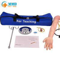 Modelo de Brazo de PVC Totalmente Funcional para Infusión Intravenosa e Inyección Intramuscular, Diseño Venoso Triangular de 55 cm para Entrenamiento de Enfermería