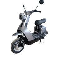 Scooter électrique Z19 à 2 roues, vélo électrique pour la mobilité urbaine, exportation au Vietnam