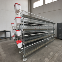 Cage à poulets de type H galvanisée robuste avec structure en fil métallique et accessoires pour l'élevage avicole