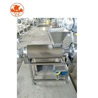 Ce Gecertificeerde Commerciële Kwaliteit Zware Roestvrijstalen Mango & Bessenpuree Extractor Fruitpulper Machine