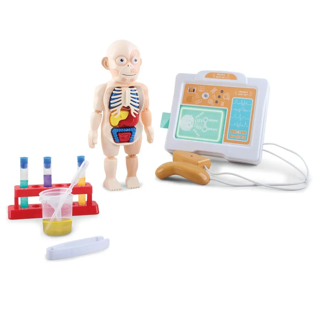 2021 bilim kiti eğitici oyuncak insan vücudu organları 3D diy monte model tıbbi oyuncak simüle B ultrason labs öğretim oyuncak