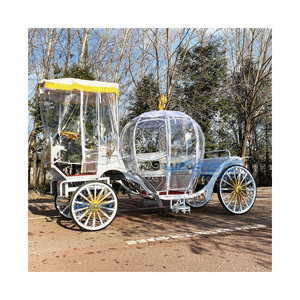 Carruaje de Calabaza para Boda, Estilo Cuento de Hadas, Carruaje de Cenicienta, Romántico Buggy Blanco de Princesa con Cortina para Lluvia - Product Image 1