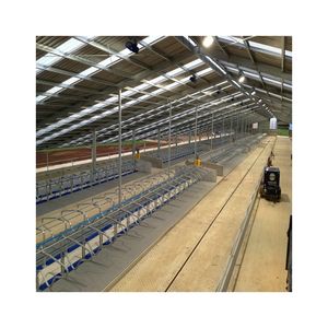 Abri pour bétail en acier préfabriqué, assemblage rapide, <span class=keywords><strong>grange</strong></span> pour bétail de viande et laitier - Product Image 6