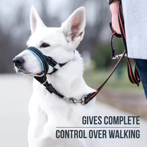 Bozal de Adiestramiento para Perros Kangdarpet Anti-Ladridos - Malla Transpirable Reflectante, Ajustable para Perros, Seguro y Cómodo para la Boca de las Mascotas - Product Image 6