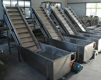 Équipement de lavage de fruits et légumes de type surf CXJ à haut rendement industriel et à faible consommation d'énergie