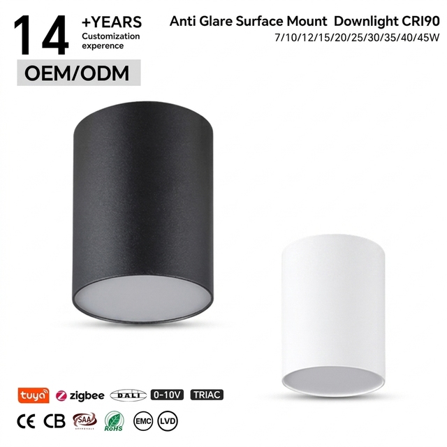 Surface Mounted Minimalist Smart Control LED Downlight Tunable White 30W AluminumCeiling 5-Year Warranty IP20 120 Degrees Beam