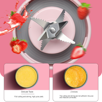Draagbare Blender Huishoudelijke Fruitmixer Zes Bladen In 3d 300Ml Usb Juicer Cup