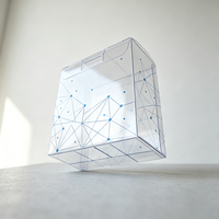 Boîte d'emballage en plastique transparente personnalisée avec languette intégrée anti-rayures, imprimé géométrique à pois et lignes, pour flacon d'huile essentielle