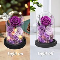 Roses éternelles sous cloche en verre avec LED, alimentées par piles, pour la table – Cadeaux pour la Fête des Mères, pour maman, épouse, petite amie, grand-mère, anniversaire