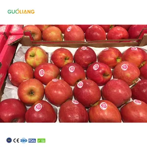 100% Biologisch Afbreekbaar Ademend Groot Kaliber Granaatappel Longblaasjes Invoegen 60gsm Papierlade Voering Voor Fruit