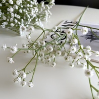Bunga Baby's Breath Putih Tangkai Tunggal Buatan, Buket Pengantin, Rangkaian Bunga Artifisial, Dekorasi Rumah, Plastik, Fotografi Luar Ruangan