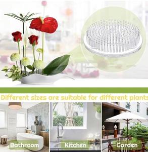 <span class=keywords><strong>Horticole</strong></span> Transparent épée montagne fleur arrangeur trois ventouse Clip Base en <span class=keywords><strong>plastique</strong></span> nouveauté et créative décoration de la maison - Product Image 6