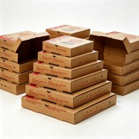 Boîte à pizza jetable en carton ondulé rigide de qualité alimentaire, écologique, avec logo personnalisé imprimé, doublure en éponge, fermeture magnétique et poignée, vente en gros