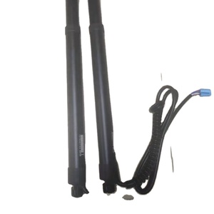 Portón trasero eléctrico hidráulico para <span class=keywords><strong>Ford</strong></span> Tourao, precio de compresión OEM personalizado, producción exclusiva en todo el mundo - Product Image 5