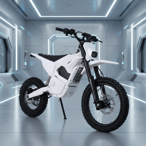 Moto tout-terrain électrique à moteur central haute performance 190 Nm, batterie 72V 25AH, 2500W sans balais, pour adultes, aventure extrême hors route - Product Image 1