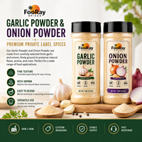 Poudre d'oignon déshydratée à texture fine, mélange d'épices lisse pour assaisonnements et sauces