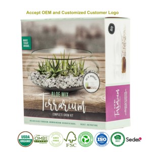 Kit de culture DIY unique et mignon en verre pour aloe vera, petit pot de <span class=keywords><strong>terreau</strong></span> pour enfants, livraison rapide, utilisation à domicile - Product Image 4