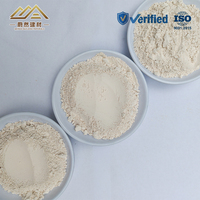 Poudre de Barite Micronisée 200 Mesh à Particules Uniformes et Haute Densité pour Application dans les Fluides de Forage Pétrolier