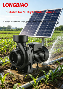 Pompe centrifuge solaire SCPM 72V à courant continu sans balais à haut débit pour l'irrigation agricole et le transfert d'eau, à économie d'énergie - Product Image 4