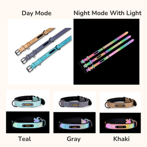 ปลอกคอสุนัขหนังปรับได้พร้อมโลโก้สั่งทำขายส่ง - Product Image 2